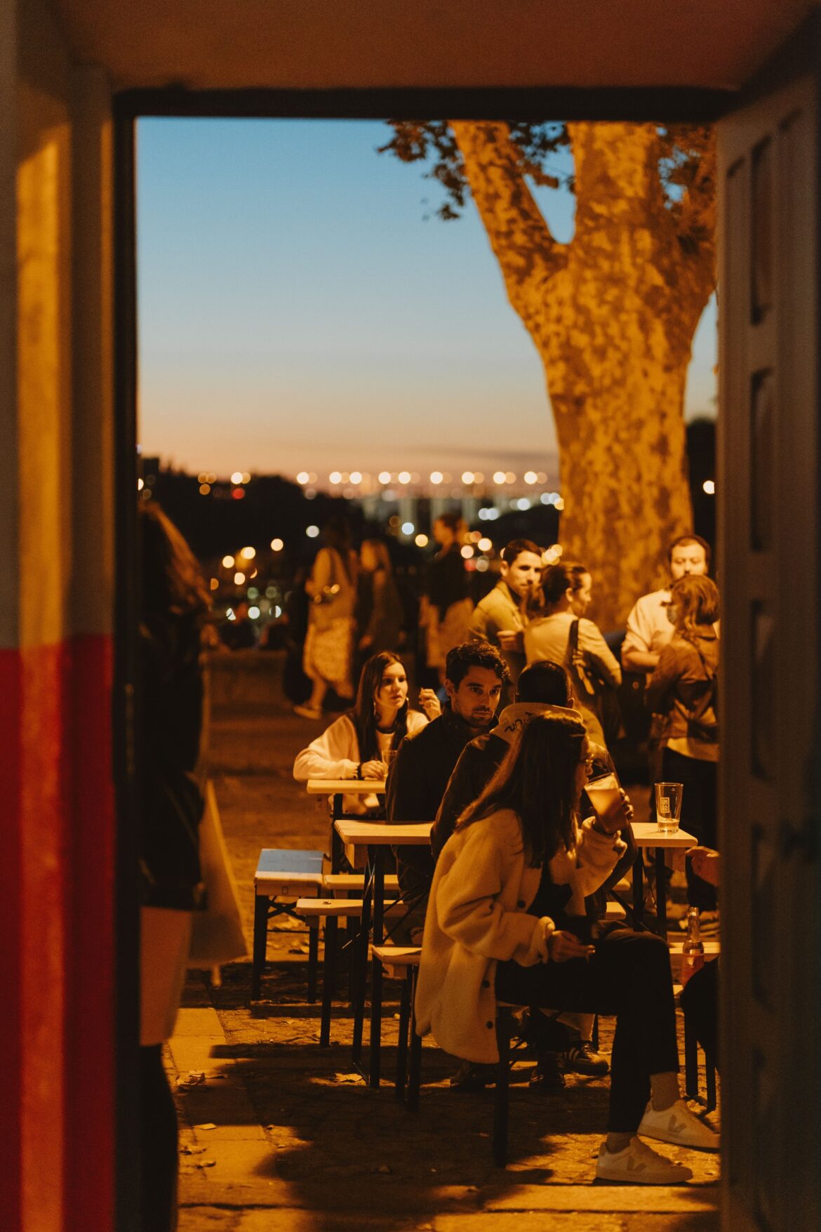 Cocktails, Wine Bars, Craft Beer And More