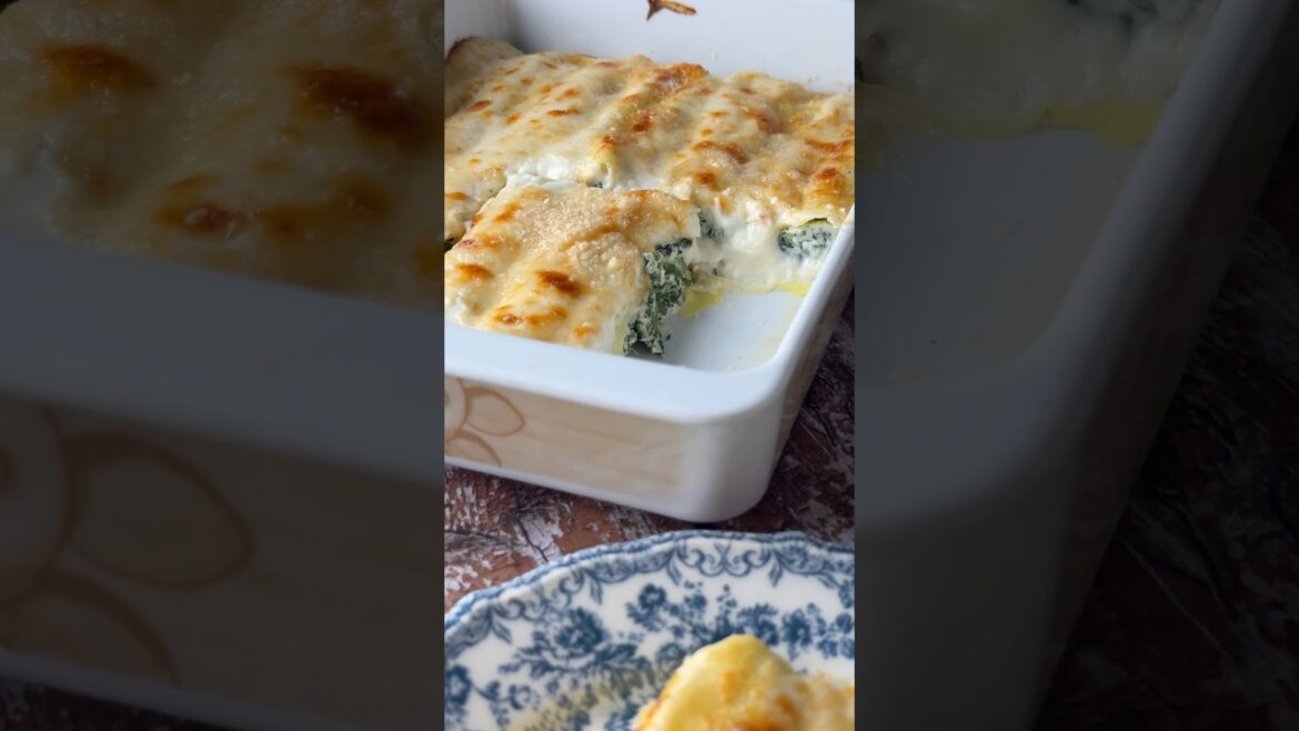Cannelloni con ricotta e spinaci:il primo piatto che conquista tutti da preparare anche in anticipo Cannelloni con ricotta e spinaci:il primo piatto che conquista tutti da preparare anche in anticipo