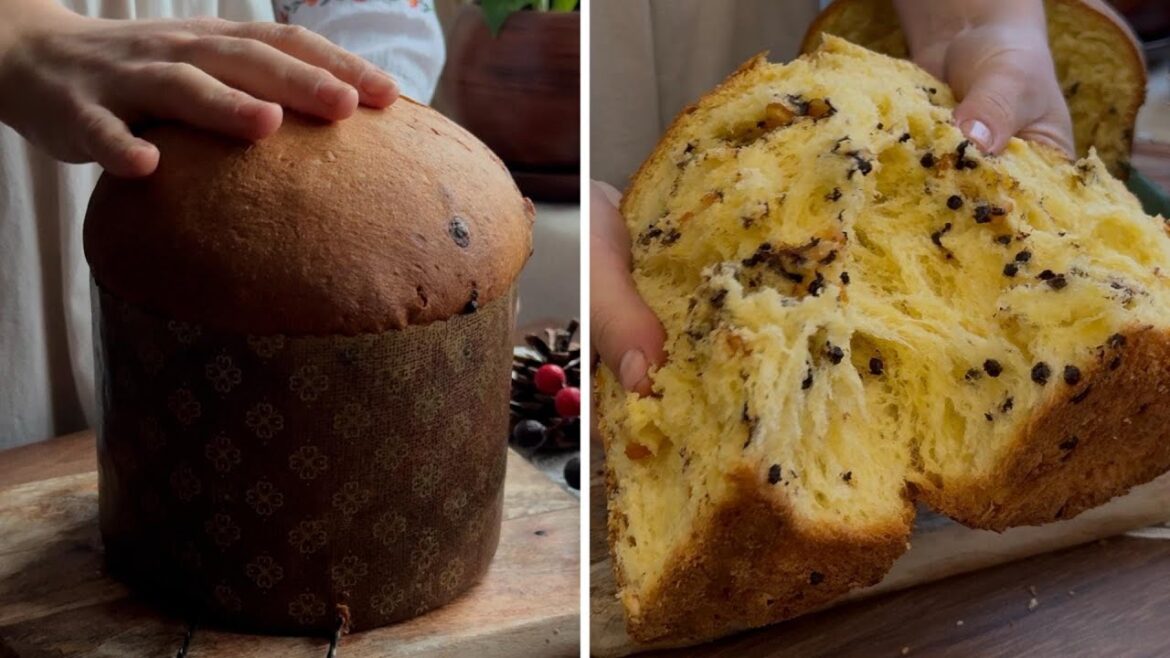 Mastering Panettone with Natural Lievito Madre (Grape Must Starter) – Hand-Kneaded Guide Mastering Panettone with Natural Lievito Madre (Grape Must Starter) – Hand-Kneaded Guide