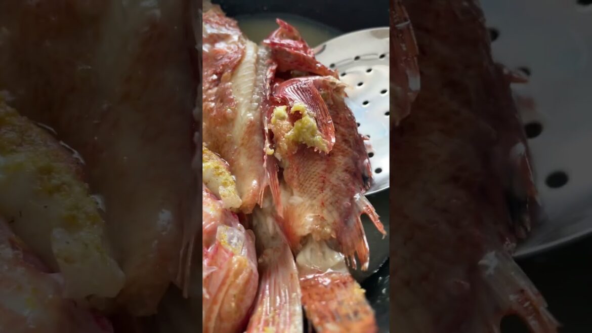 Brodo di pesce cipolla o scorfano rosso | ricetta semplice per cucinare e insaporire