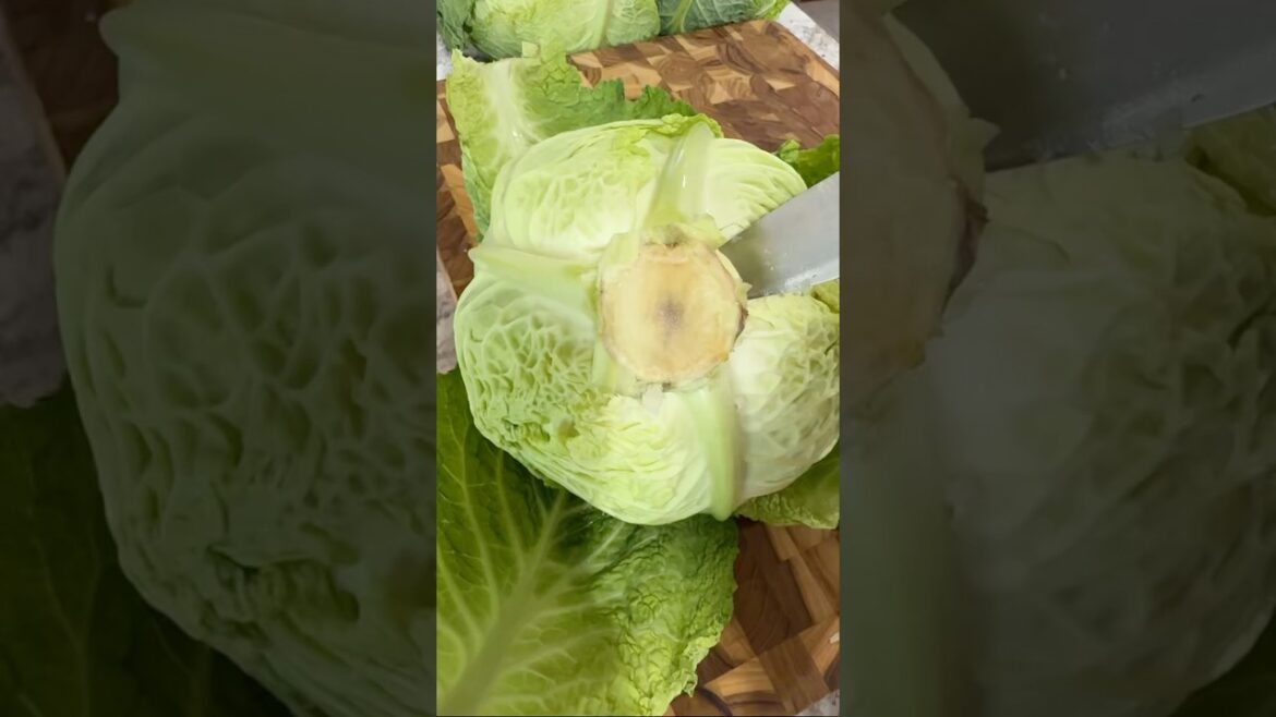 WHAT I COOK ON CHRISTMAS EVE | GREEK LAHANODOLMADES