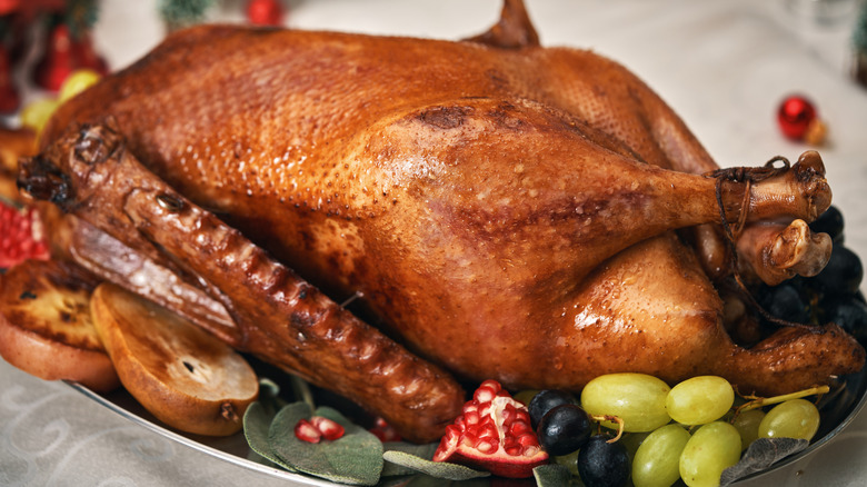 Roasted holiday goose on a dish surrounded by leaves and fruits