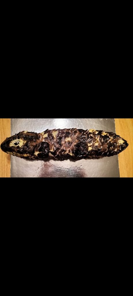 Shingle Back Lizard Cake for my son's 5th birthday. (His favourite lizard!)