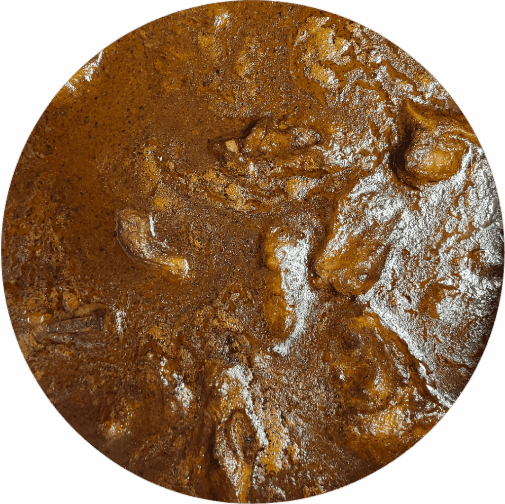 Mole de Chicatanas con costilla de puerco.