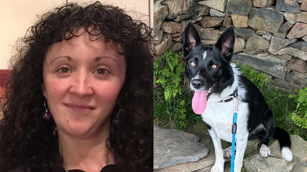 ‘My dog gets spoiled most in the family – he’ll sit with us for Christmas dinner and even has his own mince pies’