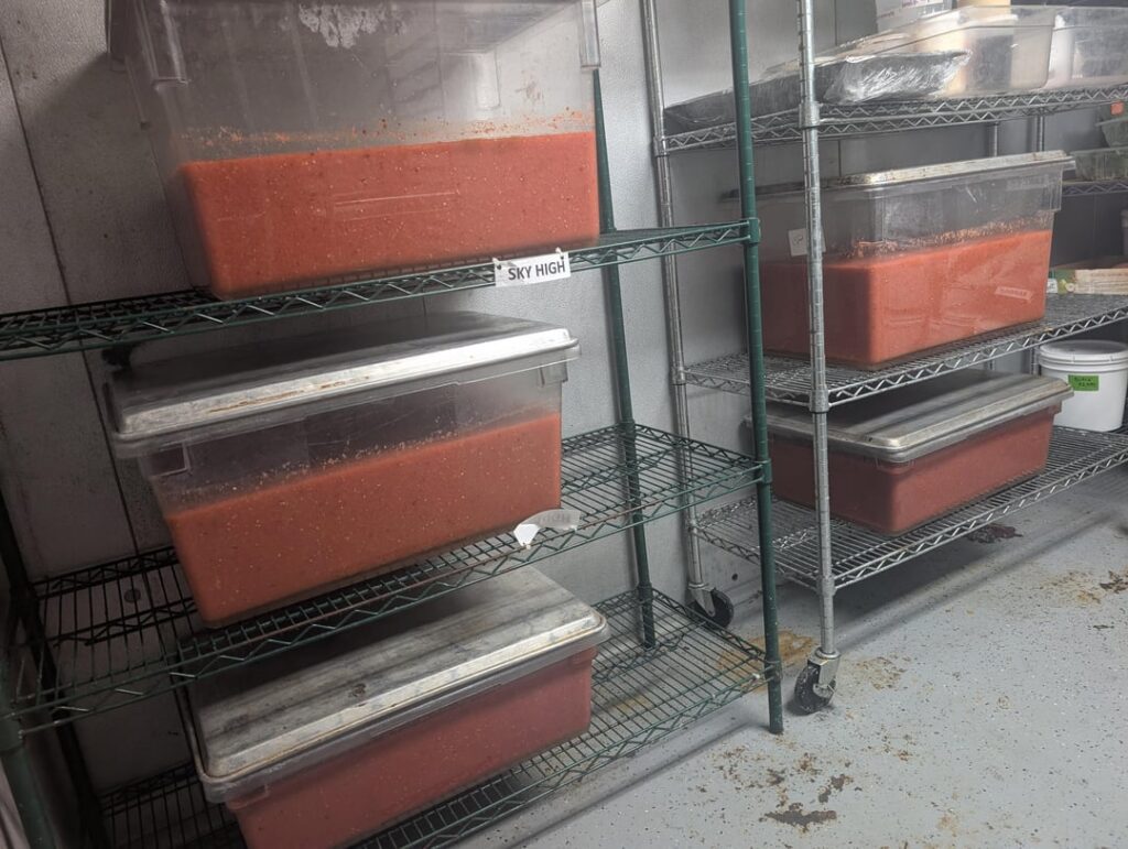 Salsa Side Hustle - EOY Update