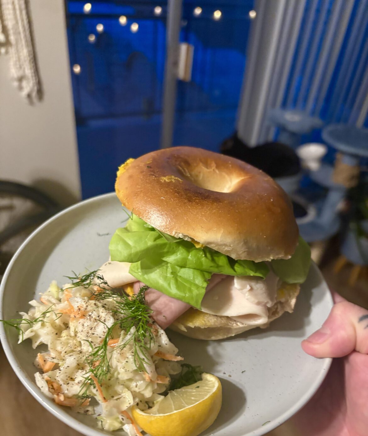 Bagel sandwich and coleslaw, chillin with the cat