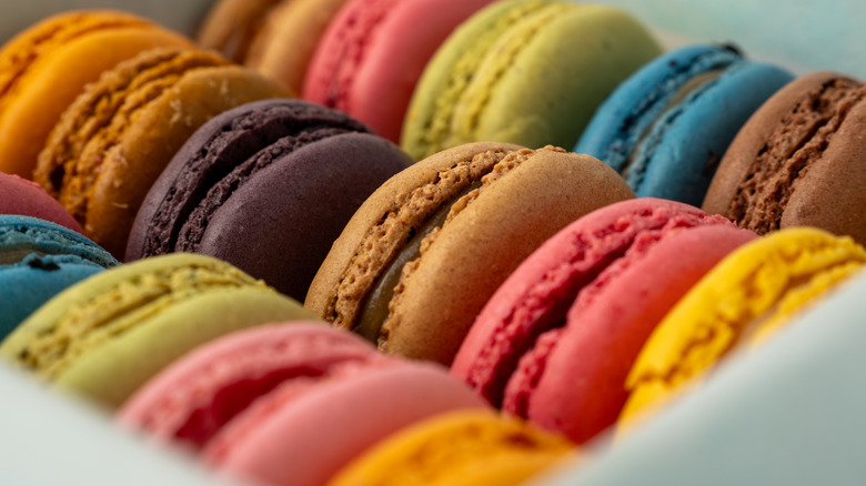 colorful macarons in a white box close up