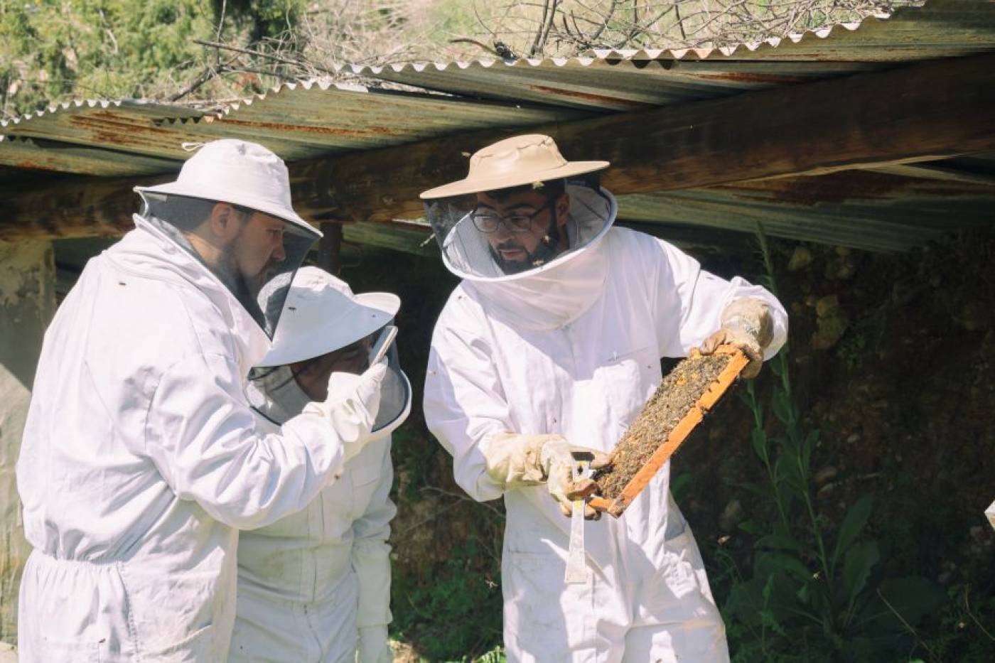 Guatazales wine tourism, rural accommodation and natural products in Murcia