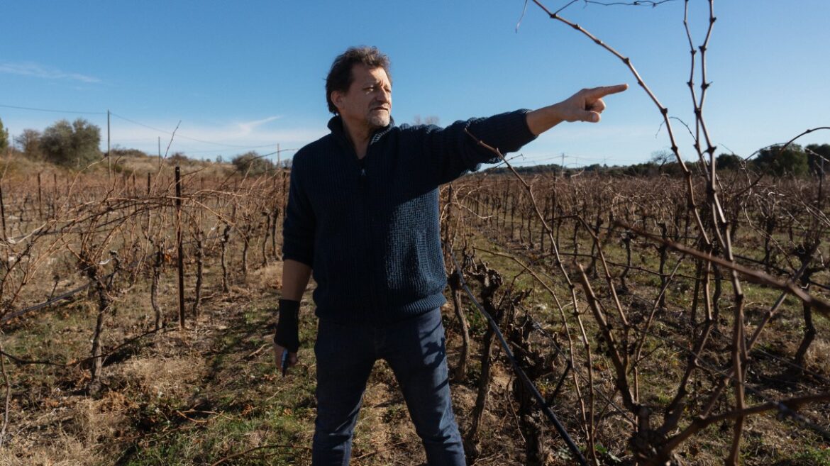 French wine industry is withering on the vine as drinkers go dry