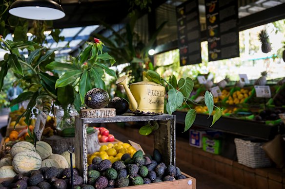 In-season produce at Tropical Fruit World in Duranbah, NSW.