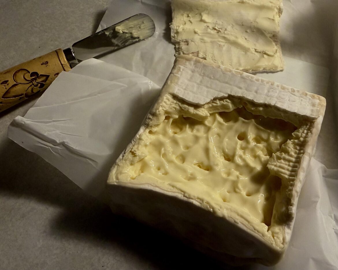 Trillium Triple Cream by Tulip Tree