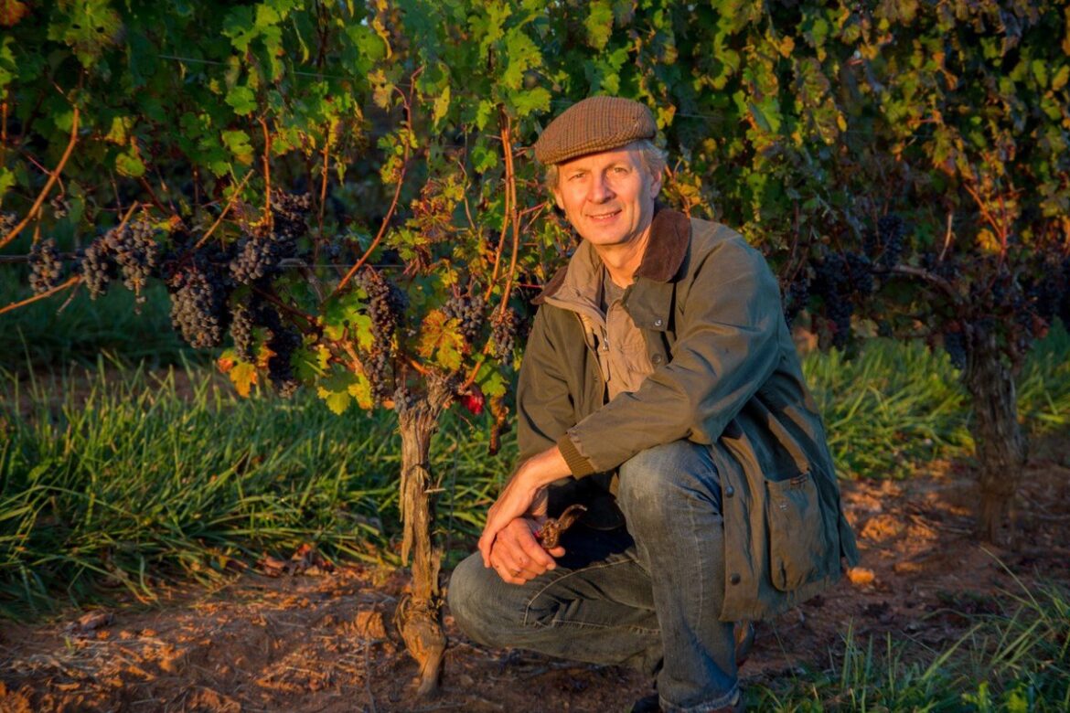 Virginia Wine Lands on Top 50 U.S. Wines List