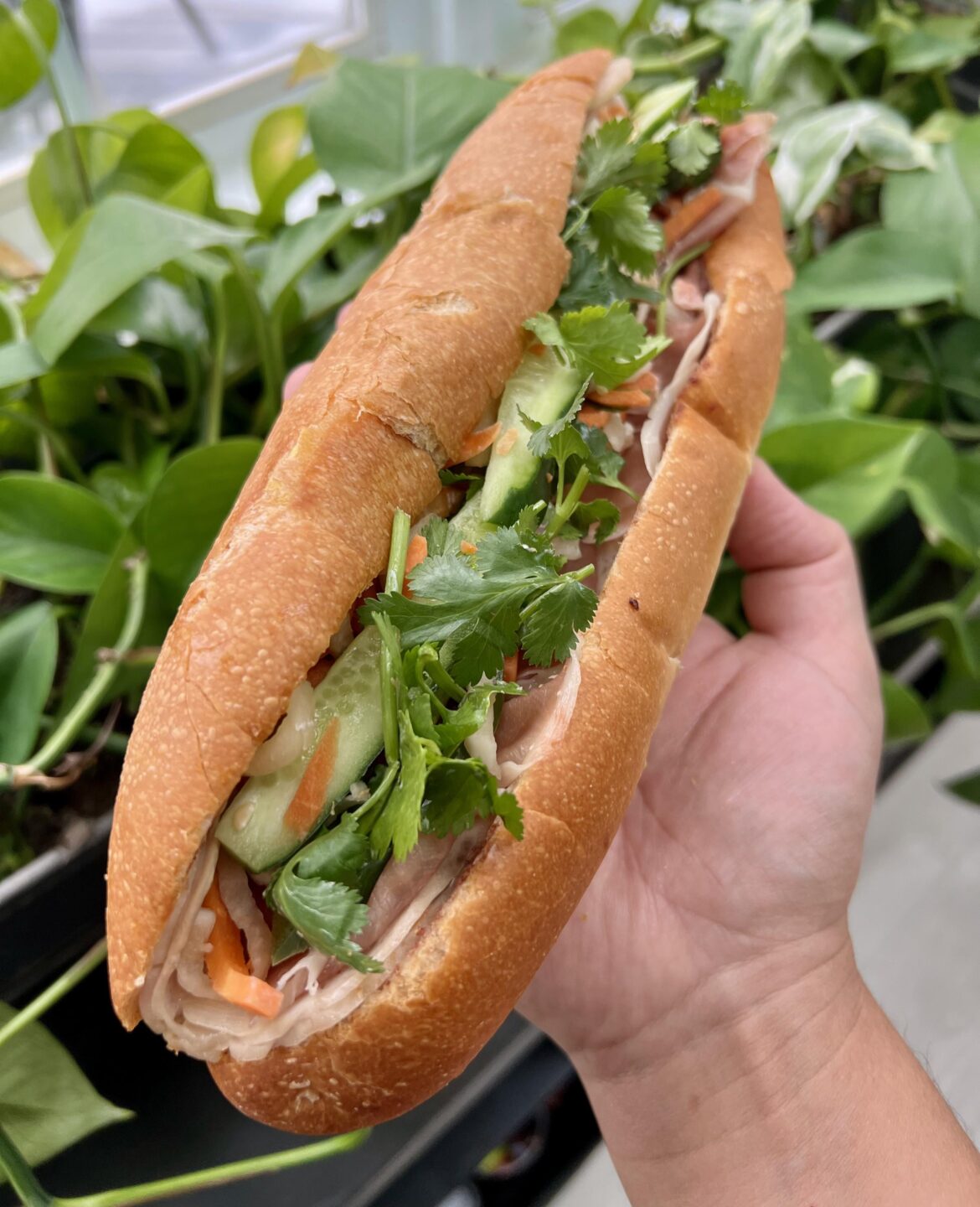 Banh Mi