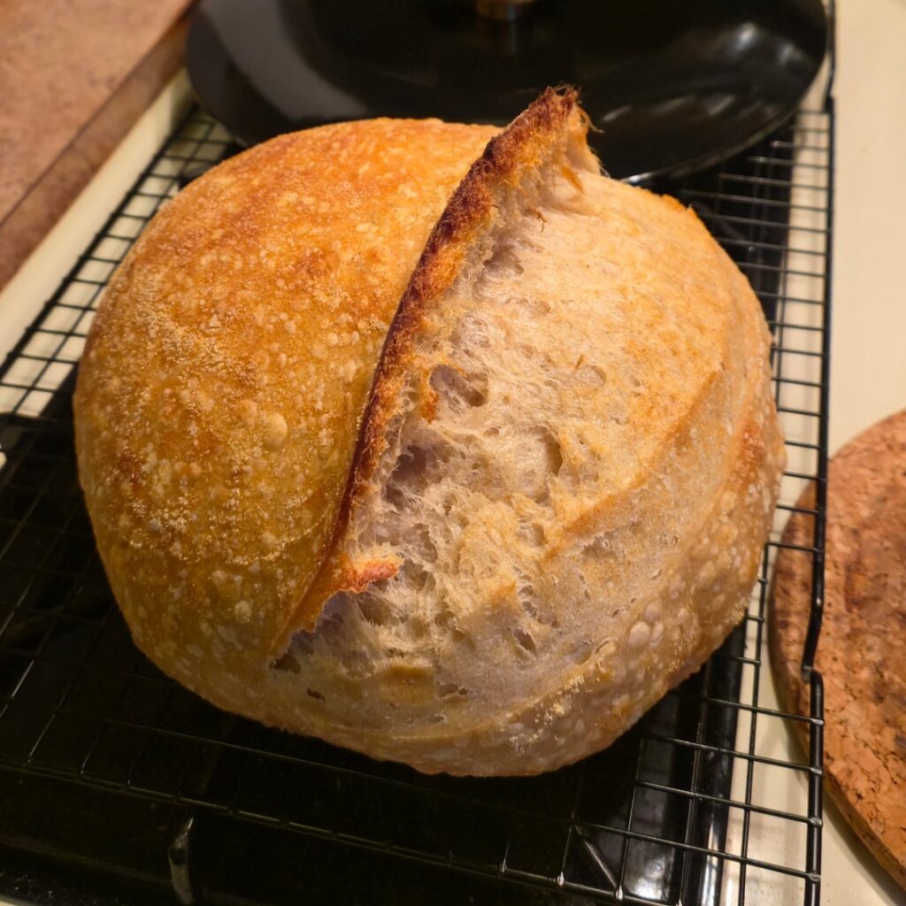 12% Whole Wheat Feedback?