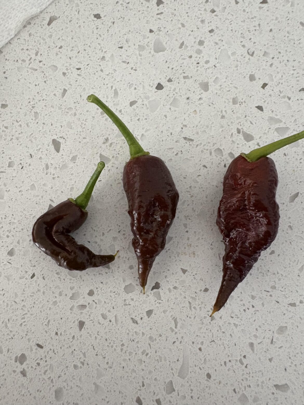 Are these reapers or ghosts?