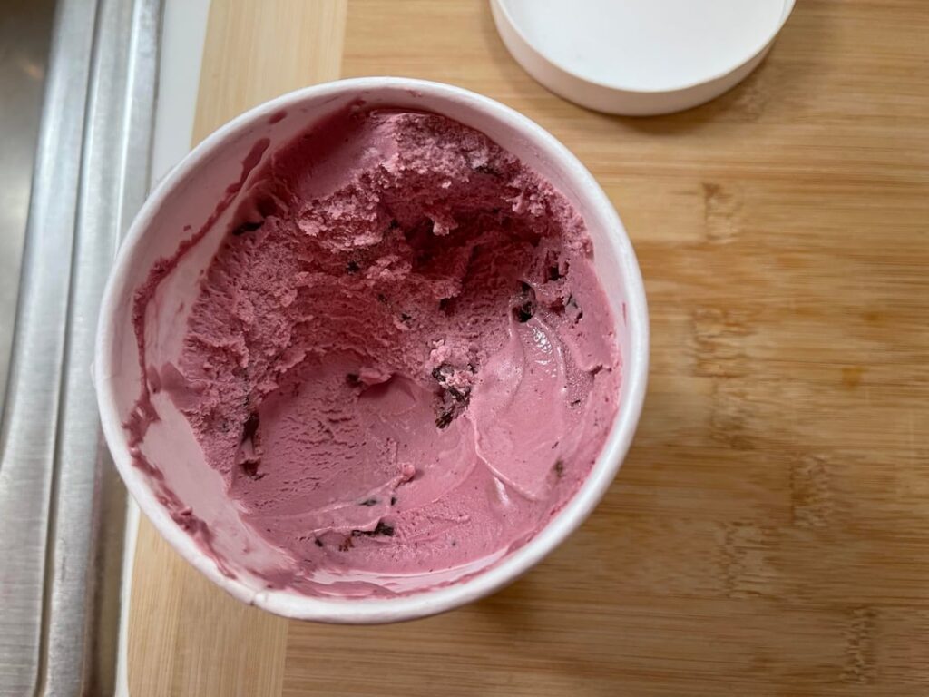 Jeni's Goose Tracks from Summer 2025