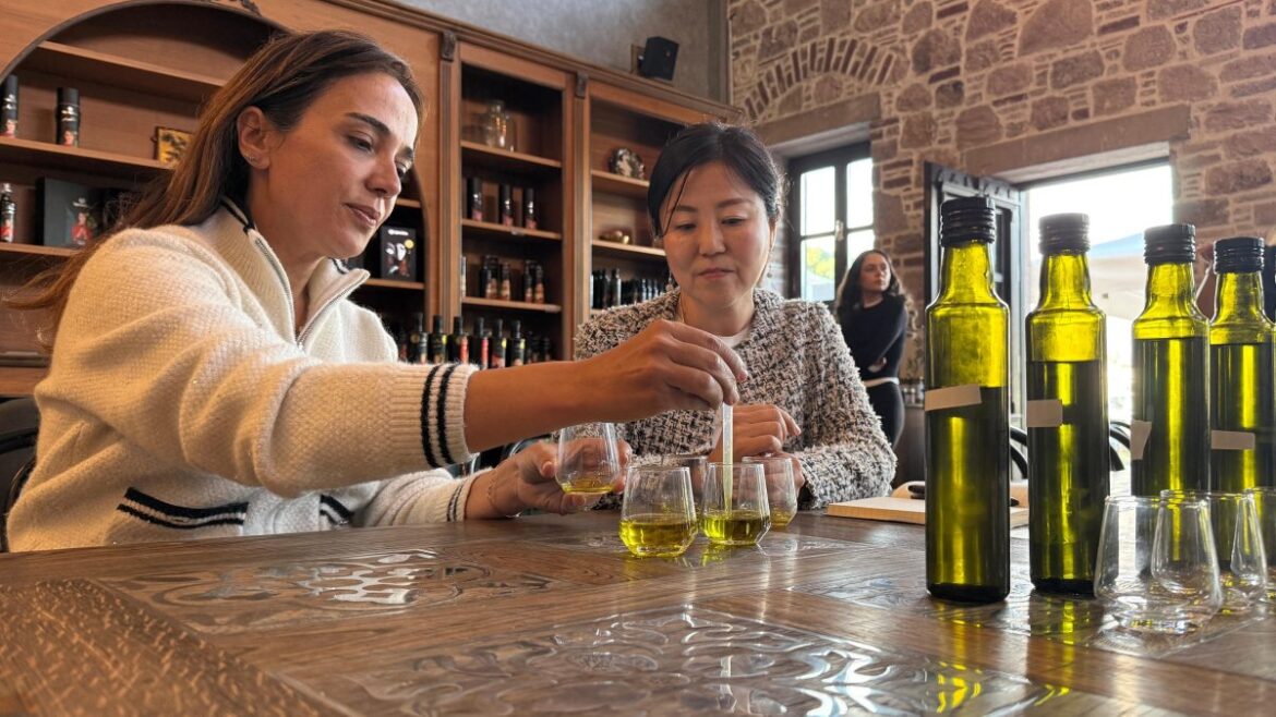 Turkish olive oil takes center stage in Japan’s culinary scene