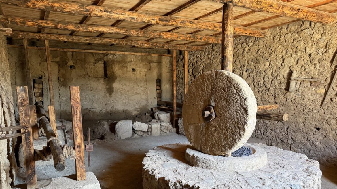 Türkiye digs uncover ancient olive oil industry in Syedra