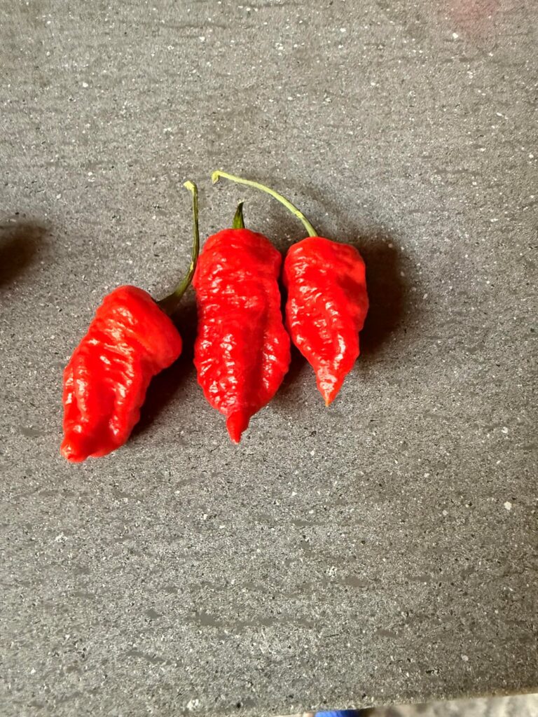 Death Spiral Scoville test!