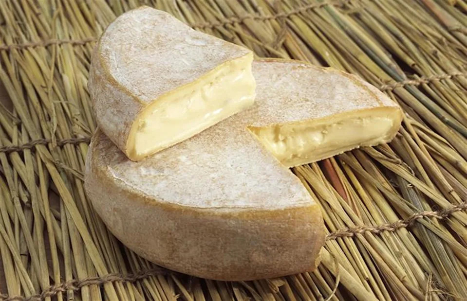 <p>slowmotiongli/Shutterstock</p>