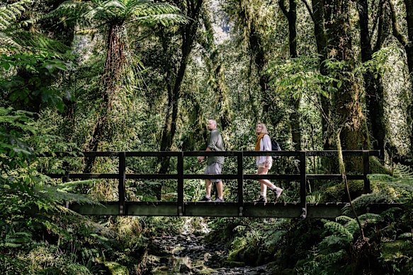 Milford Track walking adventure in New Zealand … a little bit of luxe.