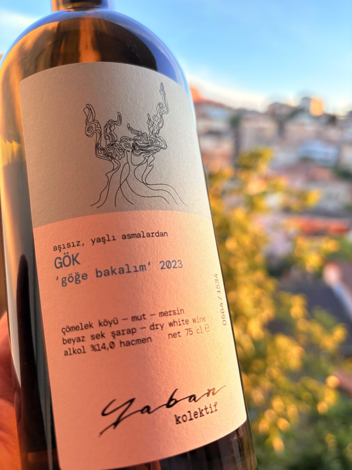 Have you ever heard of a grape called “Sky”? Have you ever heard of a grape called "Sky"?