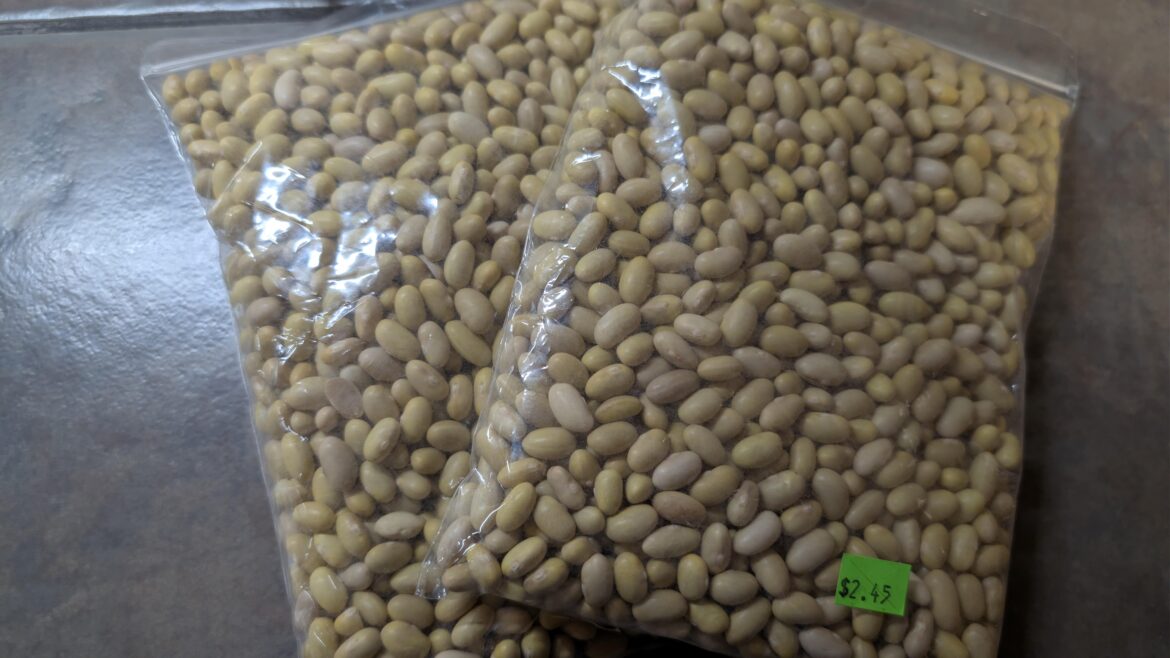 Beans! What kind do I have? Beans! What kind do I have?