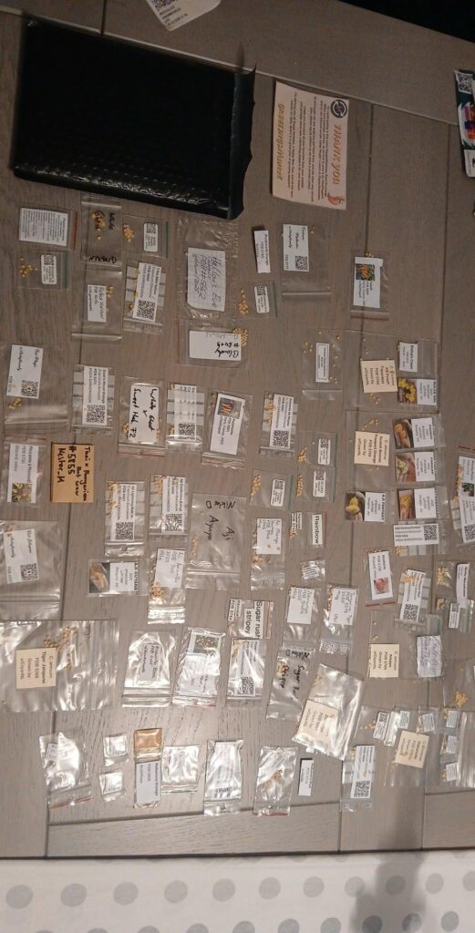 Christmas came early this year