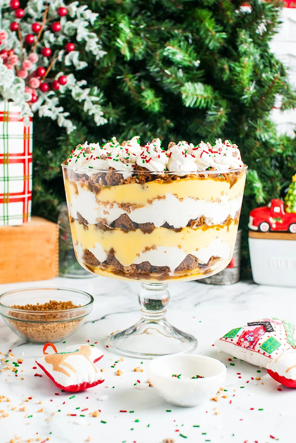 A close up shot gingerbread trifle.