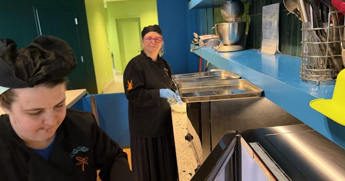 Cooking in New Orleans’ Bug Café – crickets are on the menu | Food & Entertainment Cooking in New Orleans’ Bug Café - crickets are on the menu | Food & Entertainment