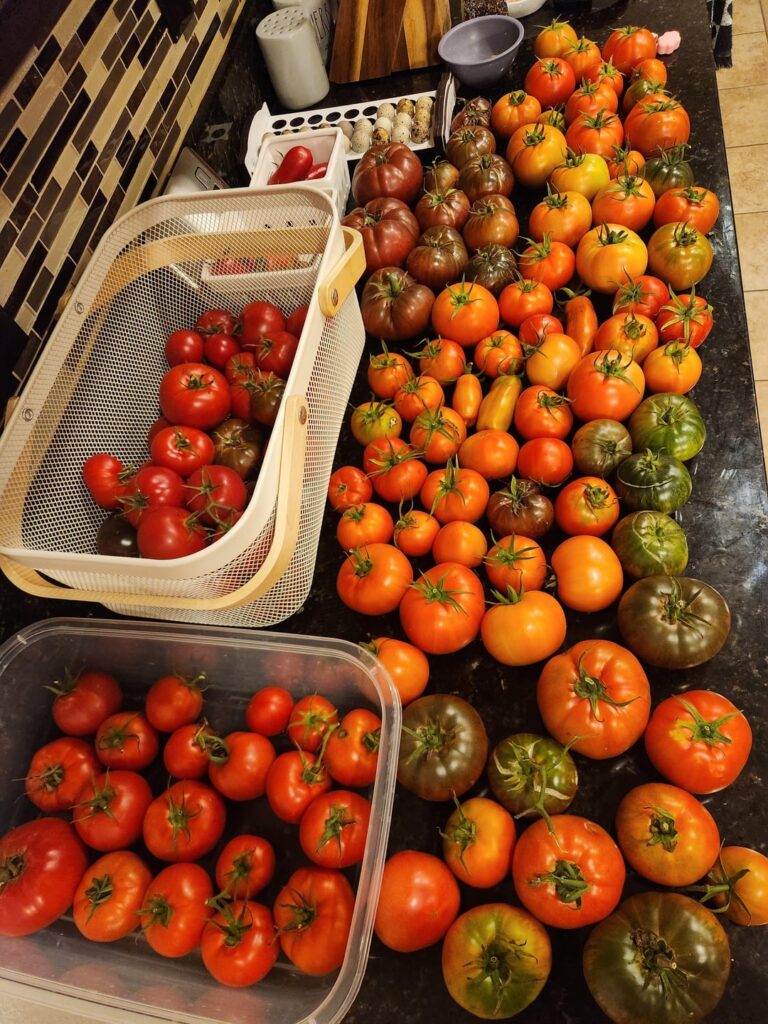 I think I went overboard… I think I went overboard...