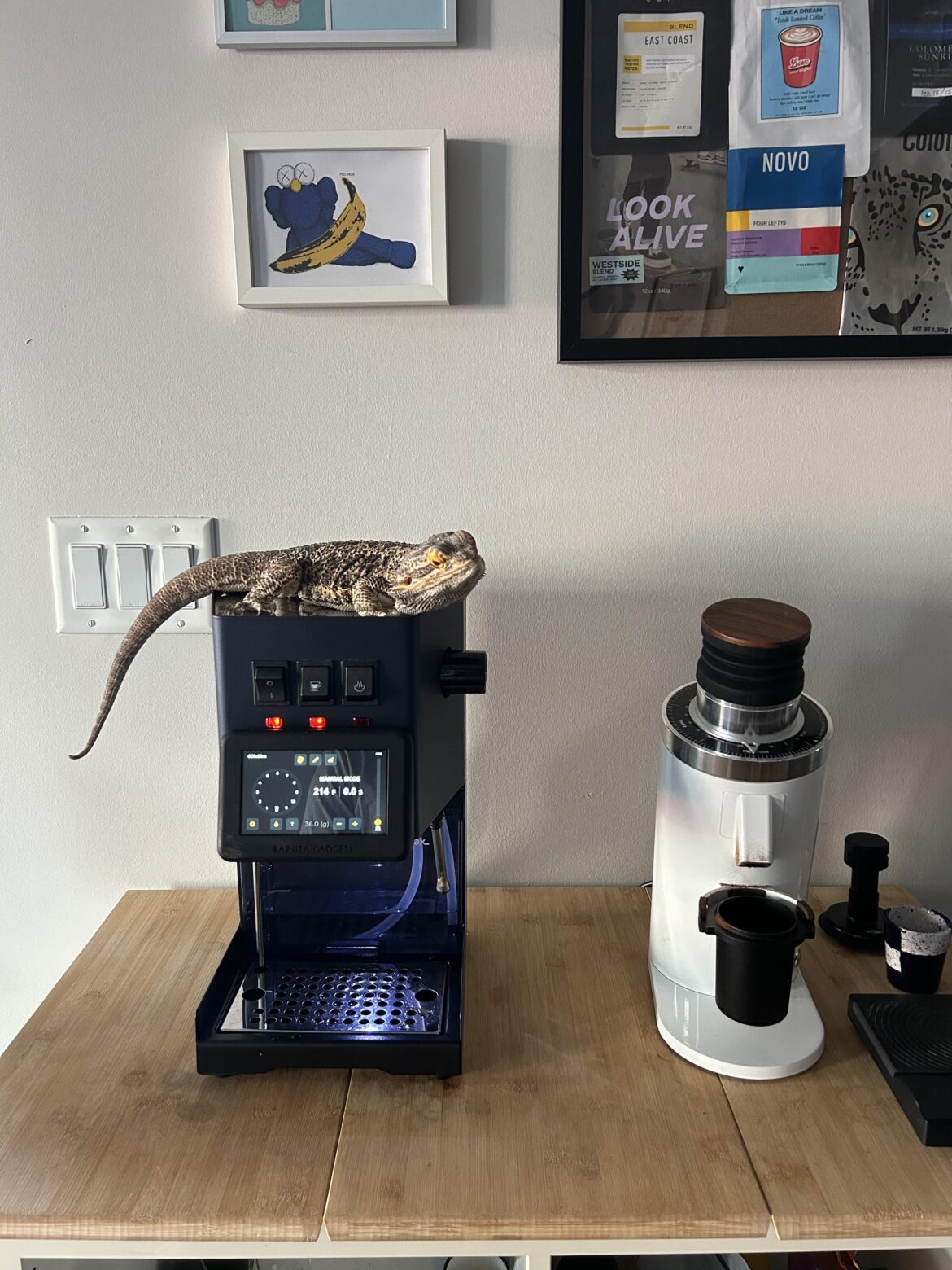 My first and last setup (actually serious this time 😂)