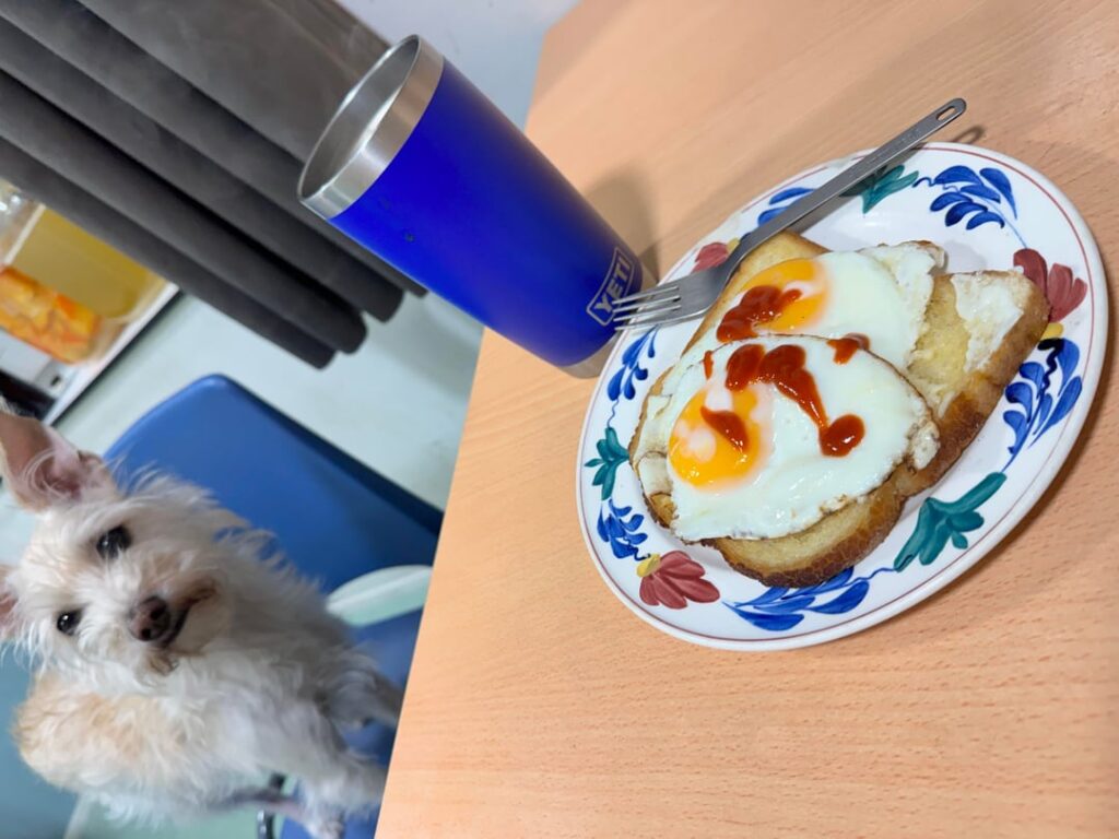 two eggs toast cheese gochujang nescafé