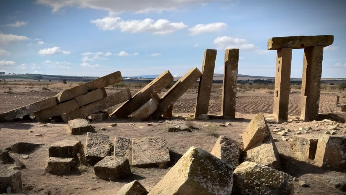 Archaeologists Uncover Massive Roman Olive Oil Complex in Tunisia