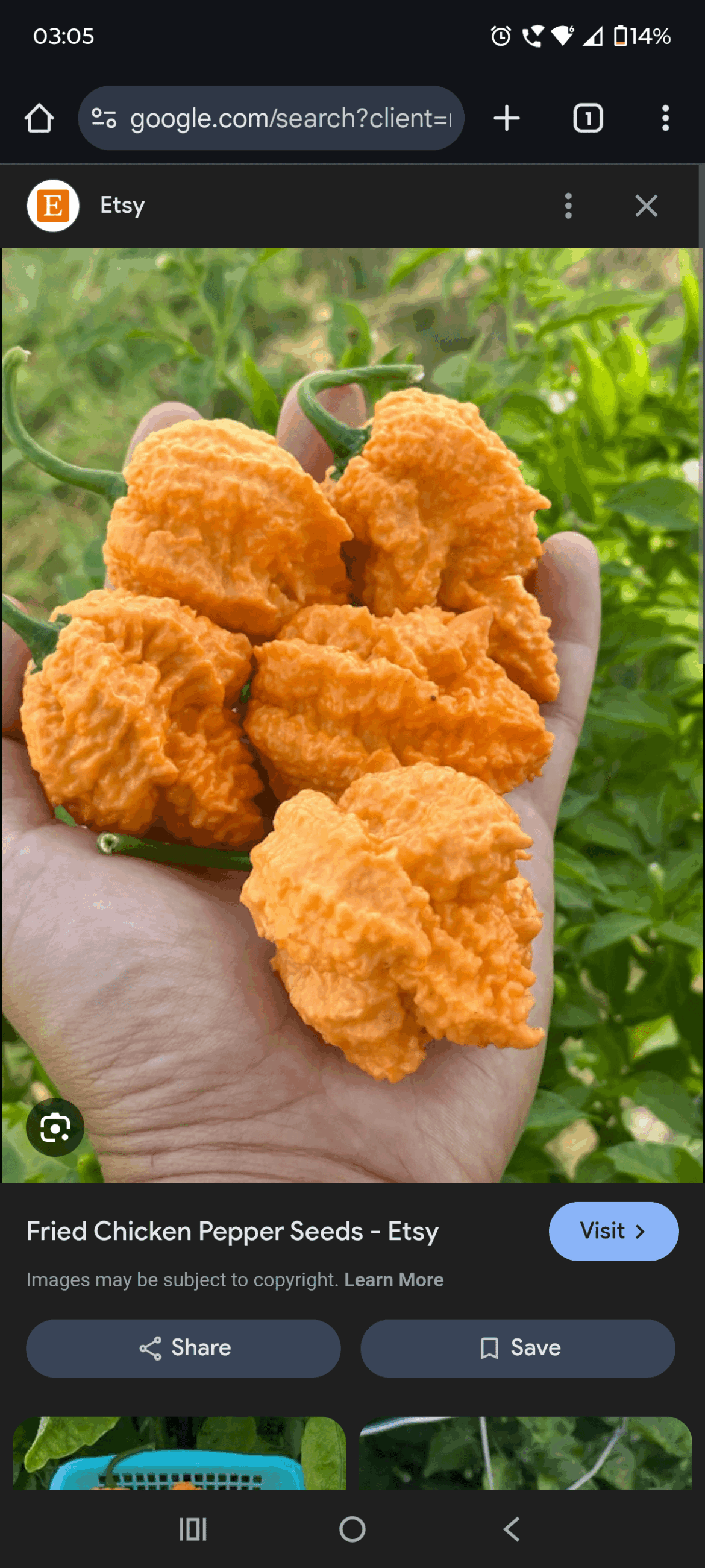 Fried chicken