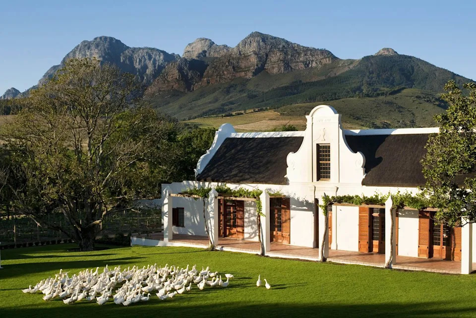 COURTESY OF BABYLONSTOREN Babylonstoren, a 2025 Global Tastemakers winner, features an edible garden, museum, and gelato room.