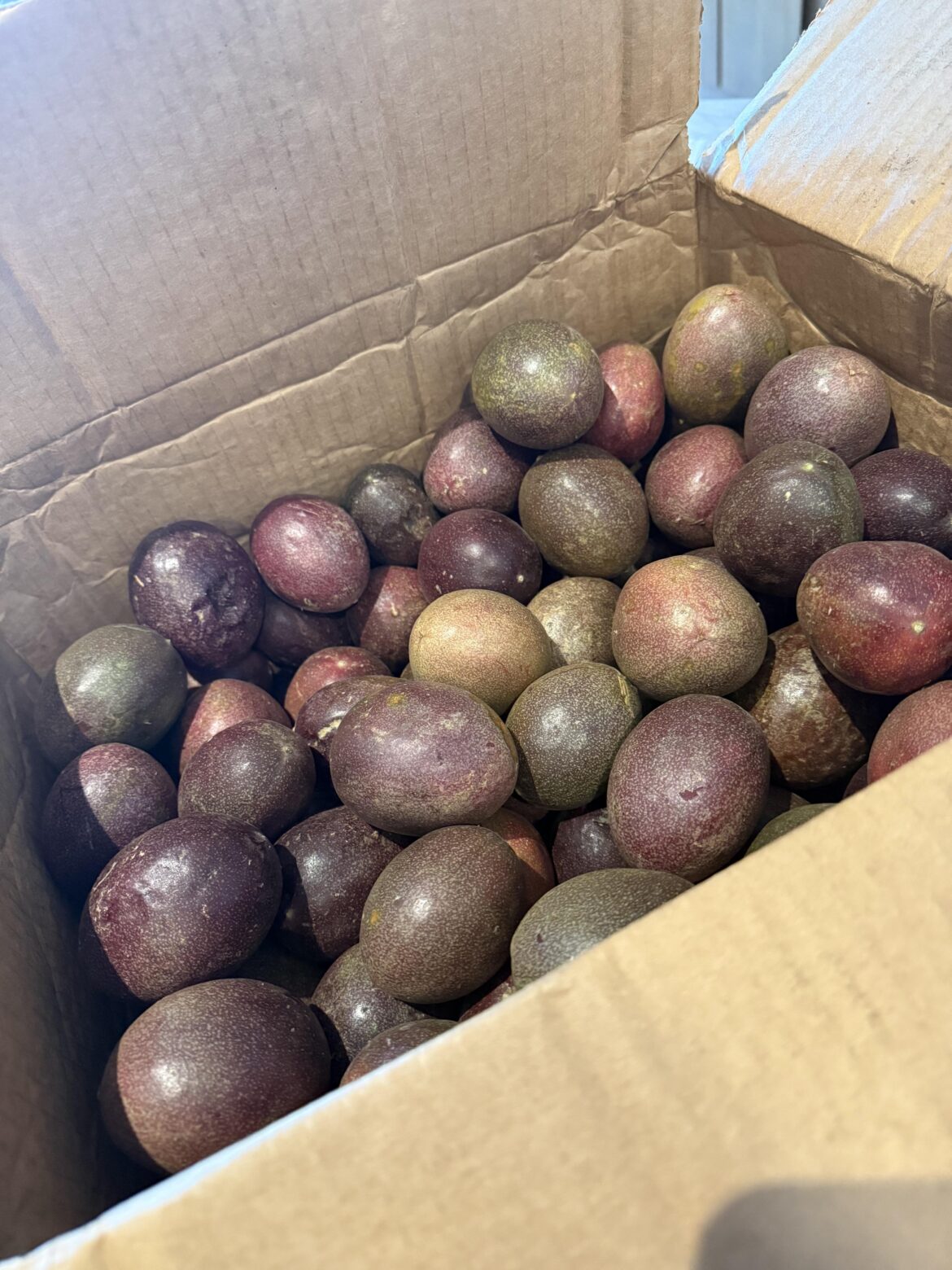 I got 10lbs of passion fruit, what should I make?