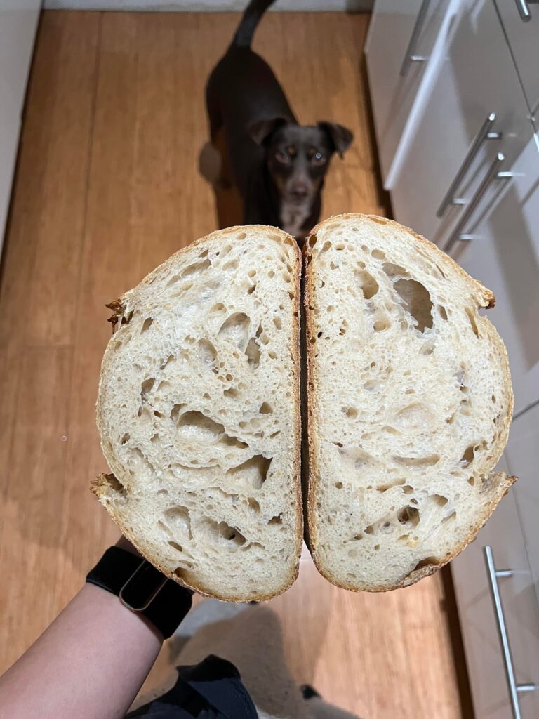 rate my loaf 🍞 7 min score trial