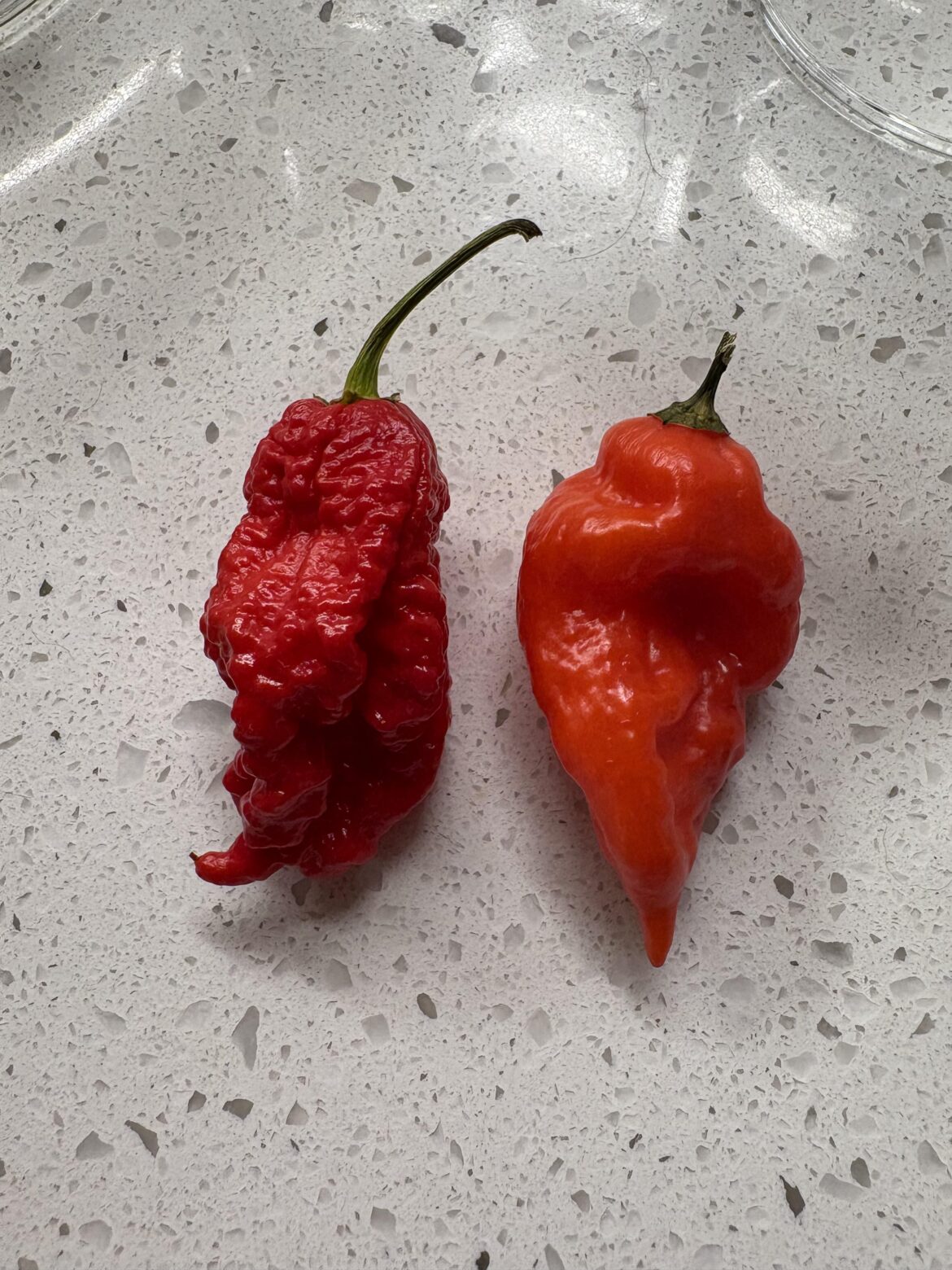 What are these? Definitely not what I purchased