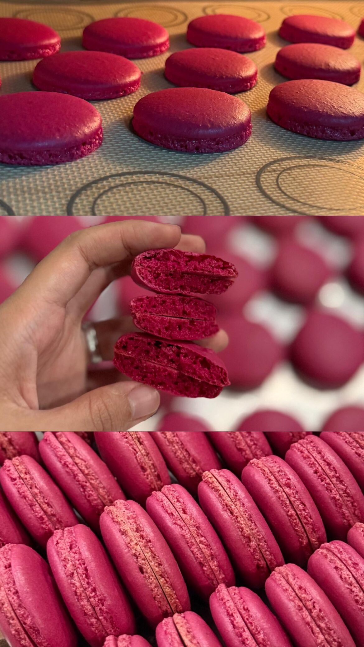 Christmas themed macarons