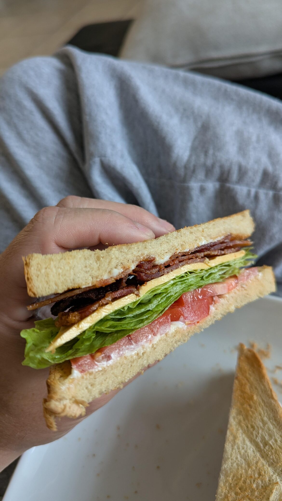 Yay or Nay to cheese in a BLT?