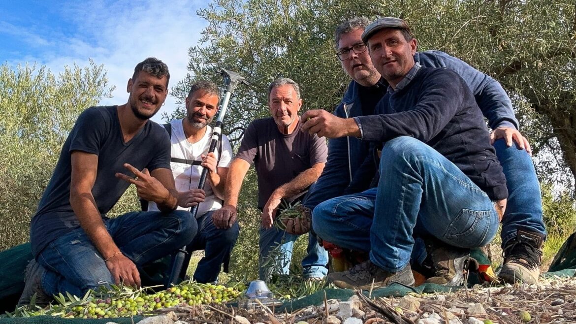 The 10 Most-Read Olive Oil Times Articles of the Year Olive Oil Times