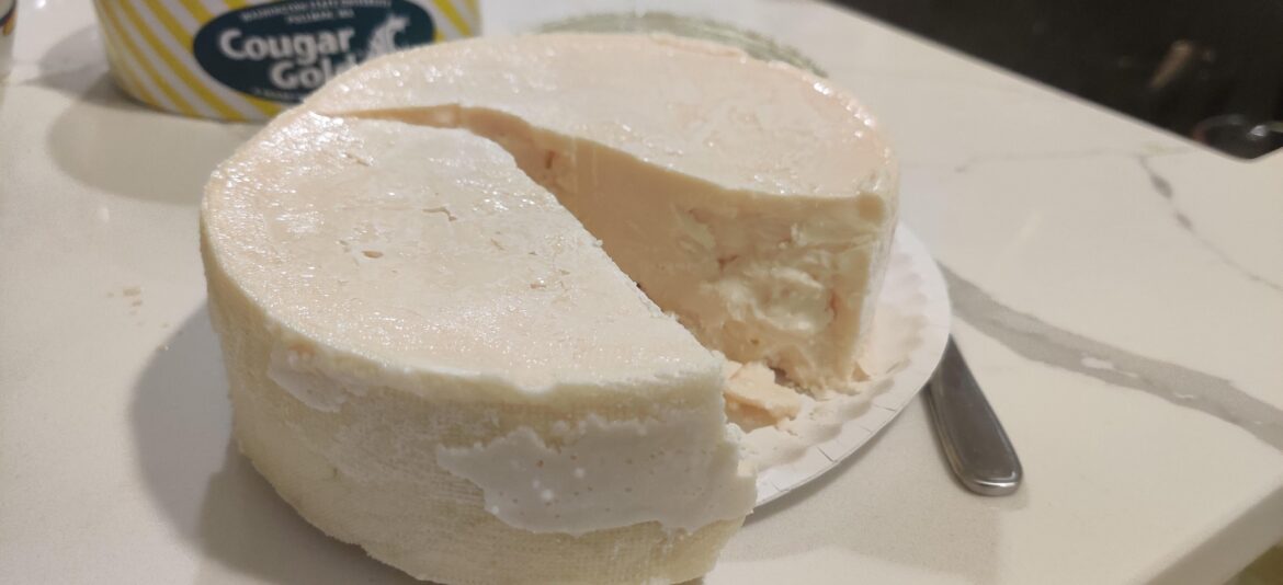 Left this sealed can of Cougar Gold sharp white cheddar in the fridge for 3 years, forgotten. Smells, looks, and tastes fantastic!