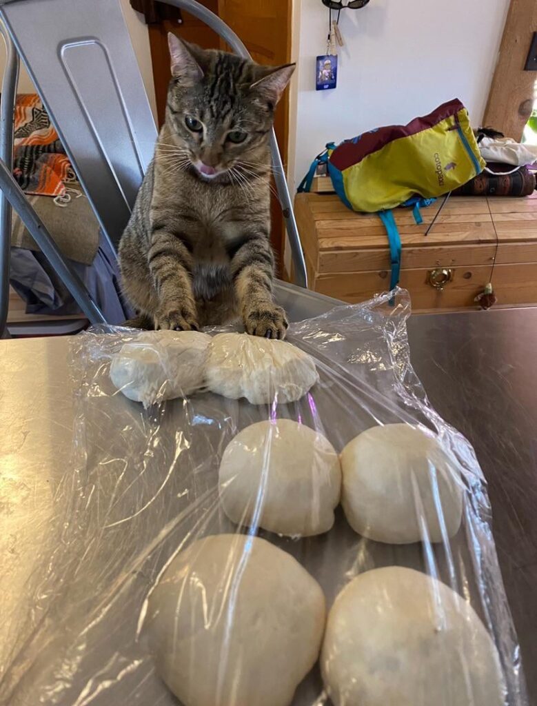 Sandwich loaf pans?!