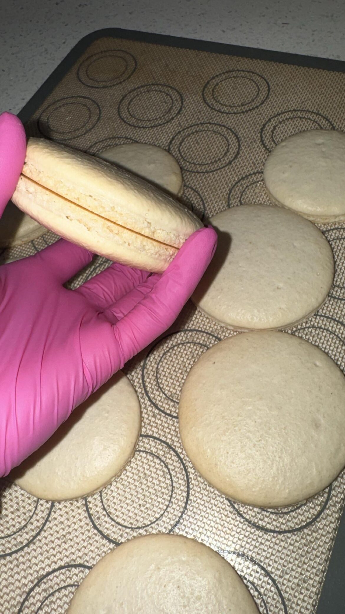 NEW YEARS FLAVORS NEW YEARS FLAVORS