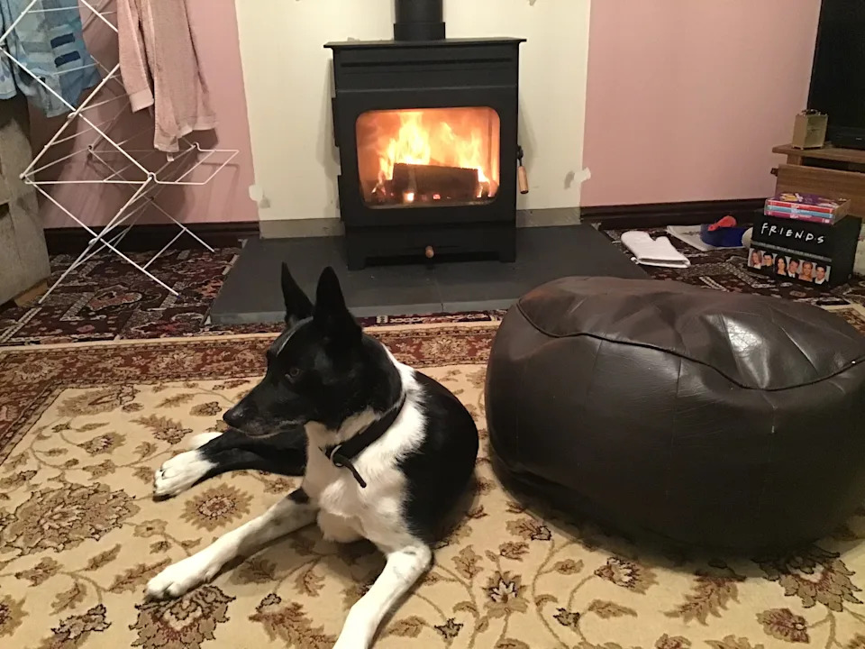 Patchie loves the log burner, sleeping in its cosy glow