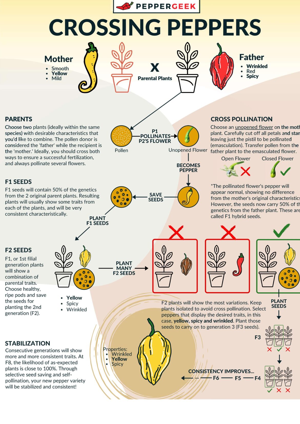 A cool guide on how to crossbreed peppers