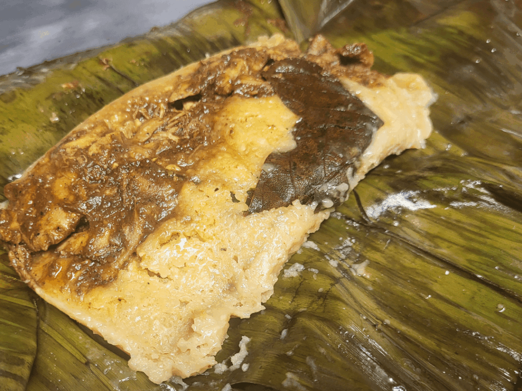 What type of tamales does your family cook? Do you have a preference on the type of tamal you enjoy most?