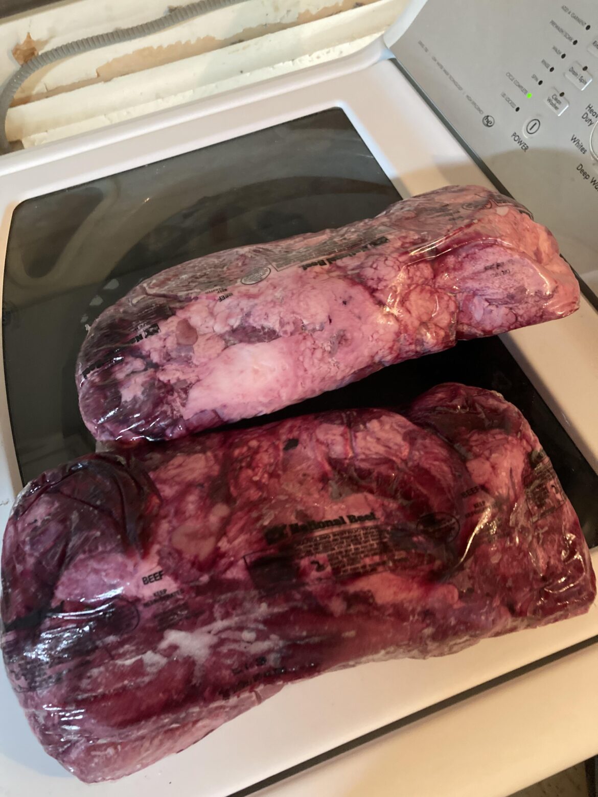 Anyone know what this is?